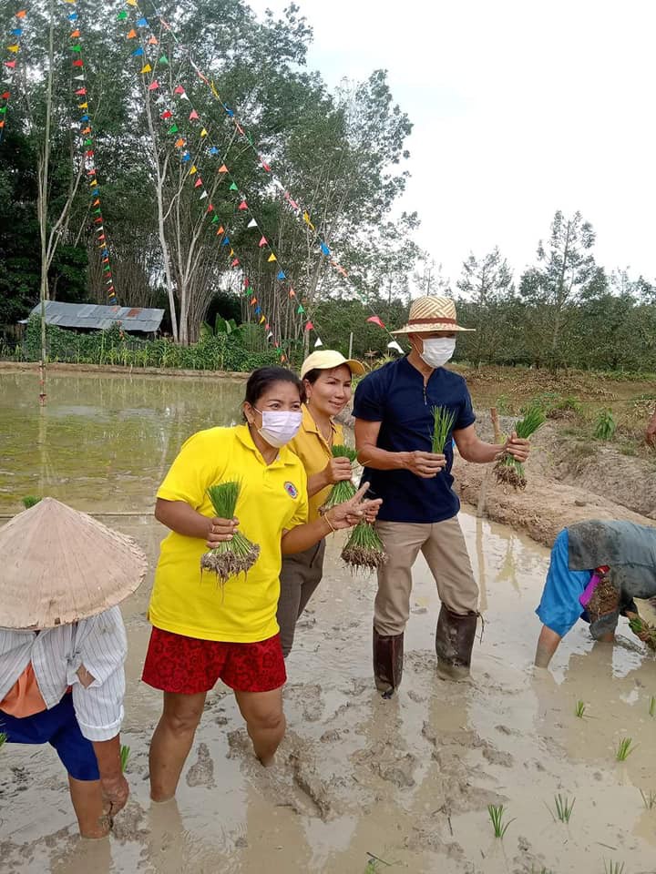 ภูมิปัญญาท้องถิ่นด้านการเกษตร โคกหนองนา